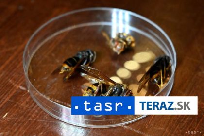 Nebezpecny srsen na Slovensku Hlasenych je uz vyse 700