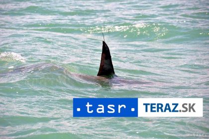 UTOK ZRALOKA Dieta pohryzol vo Francuzskej Polynzii