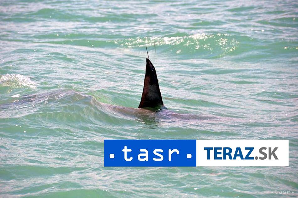 UTOK ZRALOKA Dieta pohryzol vo Francuzskej Polynzii