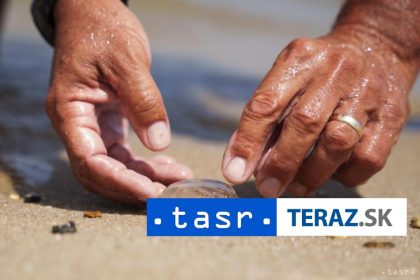 Francuzsku elektraren docasne odstavili meduzy upchali cerpadla