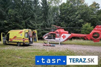 DRAMA V LESE Zachranari uviedli muza do spanku