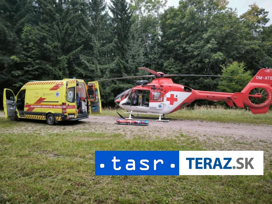 DRAMA V LESE Zachranari uviedli muza do spanku