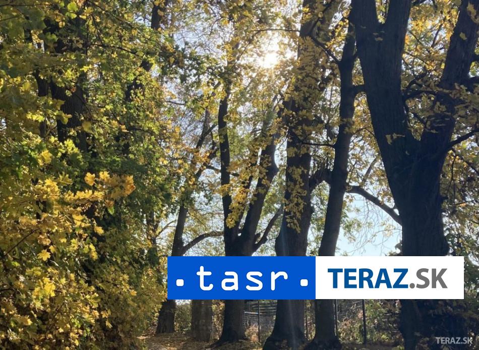 Nebezpecna huba v Bratislave ohrozuje zdravie ludi a prirodu