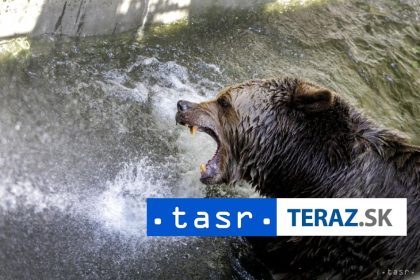 KRMENIE MEDVEDOV Tento cin bude potrestany pokutou