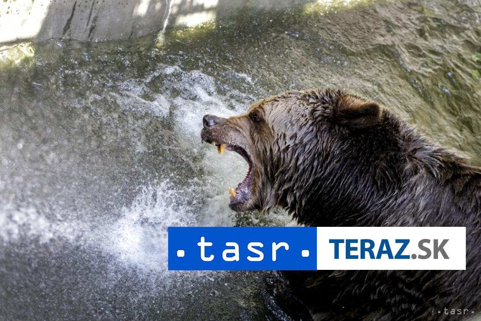 KRMENIE MEDVEDOV Tento cin bude potrestany pokutou