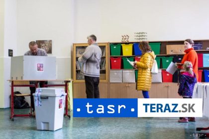 Sud nevyhovel ziadnej zo staznosti na volby v Cesku