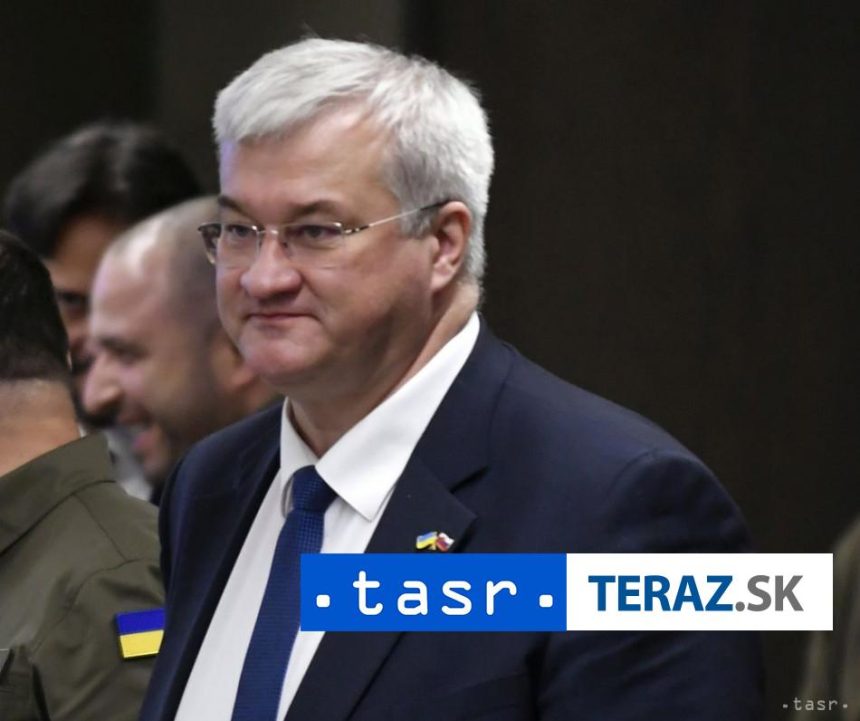 Sybiha Na strane Ruska bojuje viac ako 1400 Africanov