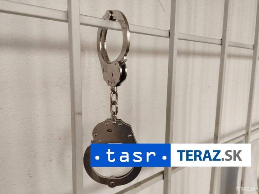 Interpol V ramci medzinarodnej operacie zadrzali desiatky osob