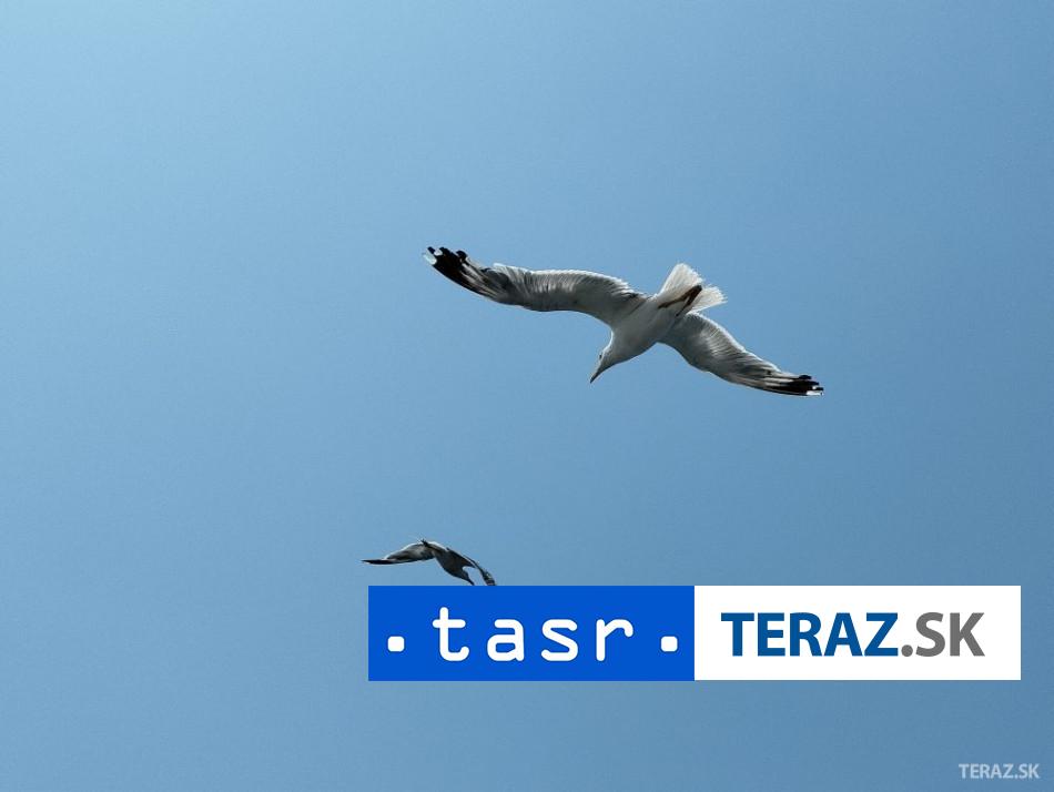 NEZVESTNY CHLAPEC Zachranili 52 migrantov na grecko pobrezi