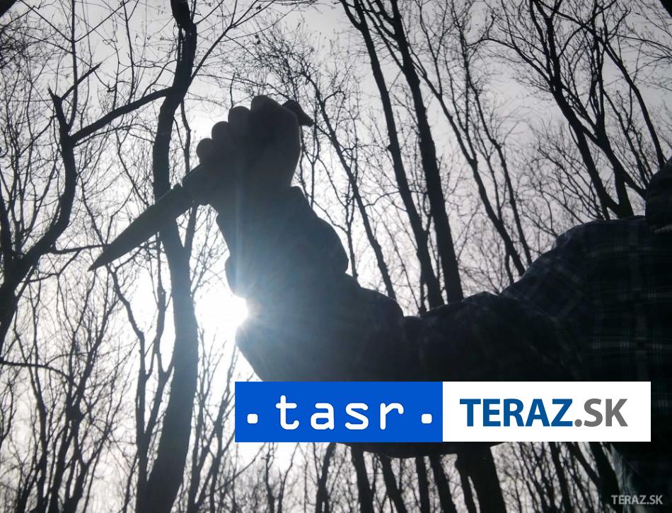 Podla policie mniska klamala o nozovom utoku