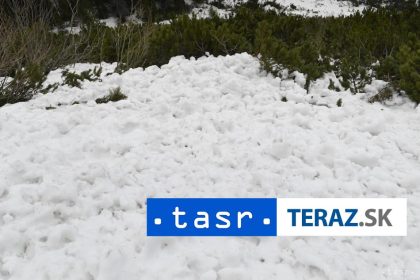 SMRTELNA LAVINA V Alpach si vyziadala obete