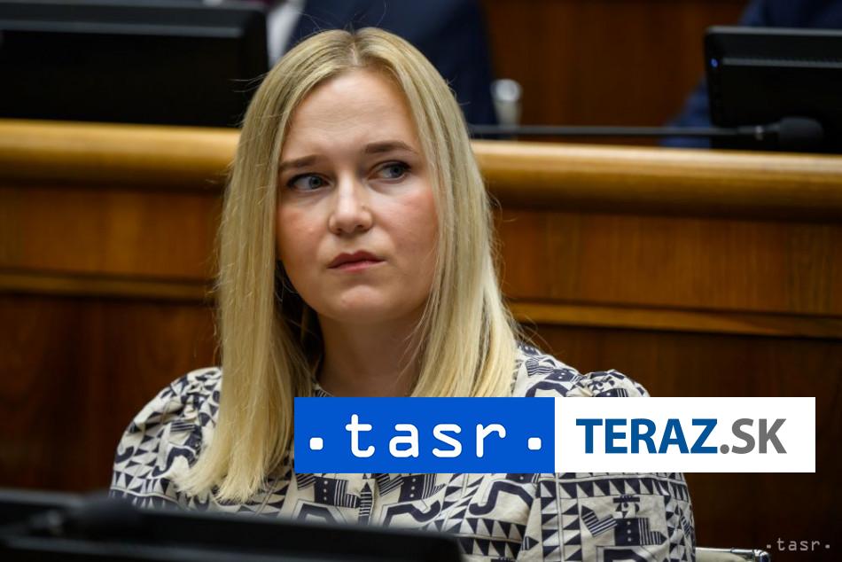 SaS kritizuje zahranicnu politiku vlady