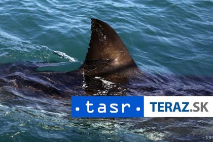 UTOK ZRALOKA V Sydney zomrel 12rocny chlapec