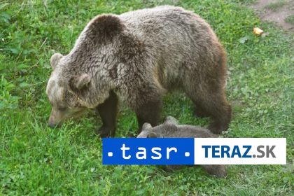 Iniciativa My sme les Incidentu pri Ruzomberku sa dalo vyhnut