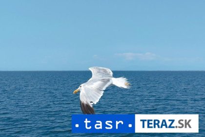 Na dne mora pri Taliansku objavili starobylu rimske nakladnu lod