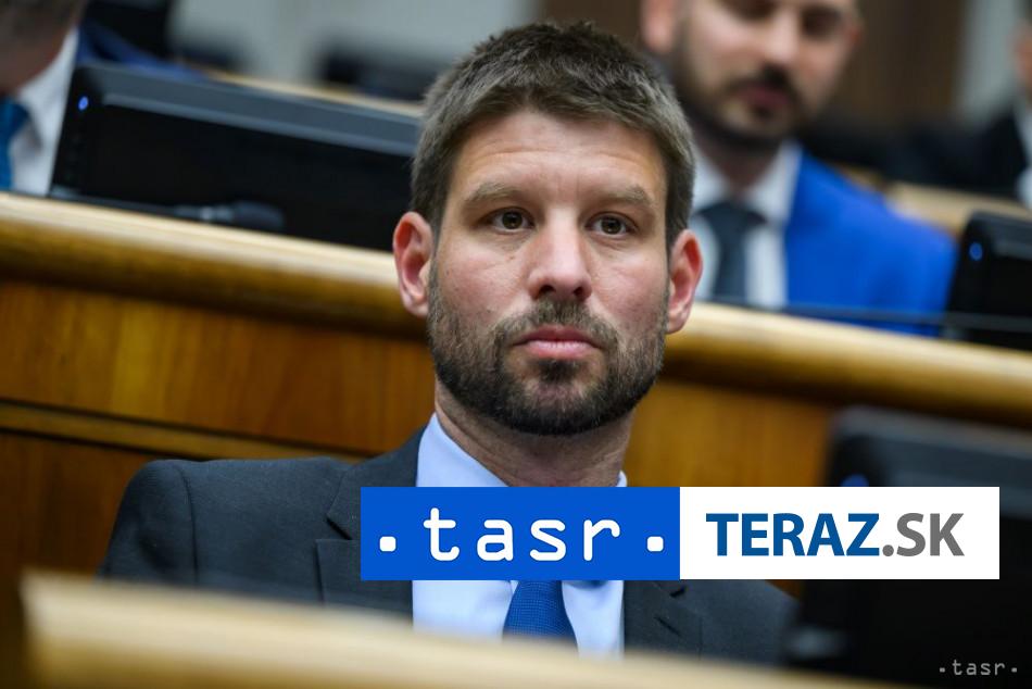 PS bude mat snem 28 marca Simecka je jedinym kandidatom na predsedu hnutia