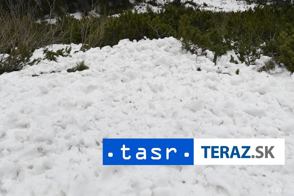 SMRTELNE LAVINY Dvaja lyziari zomreli pocet obeti sezony narasta