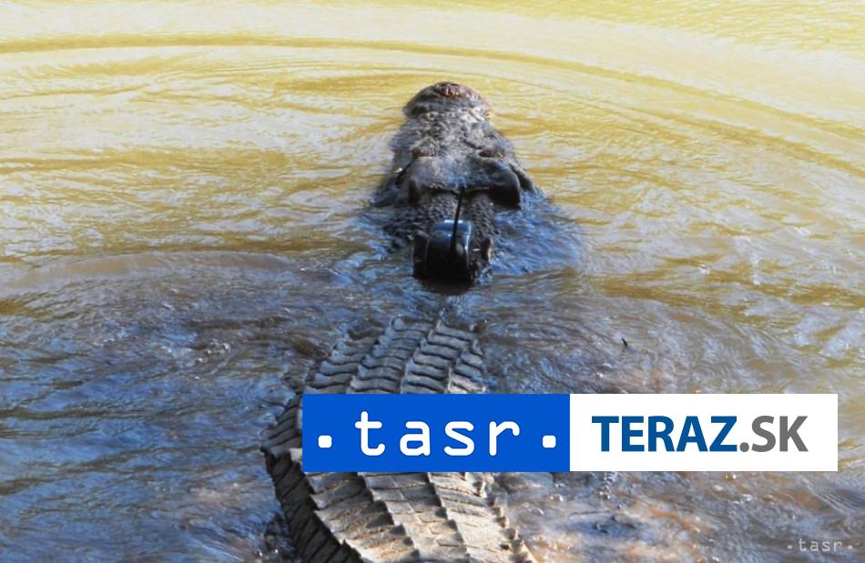 Po povodniach v Australii ohrozuje ludi zvyseny pocet krokodilov