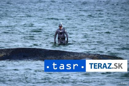 Velryba uviazla pri ostrove Walfisch