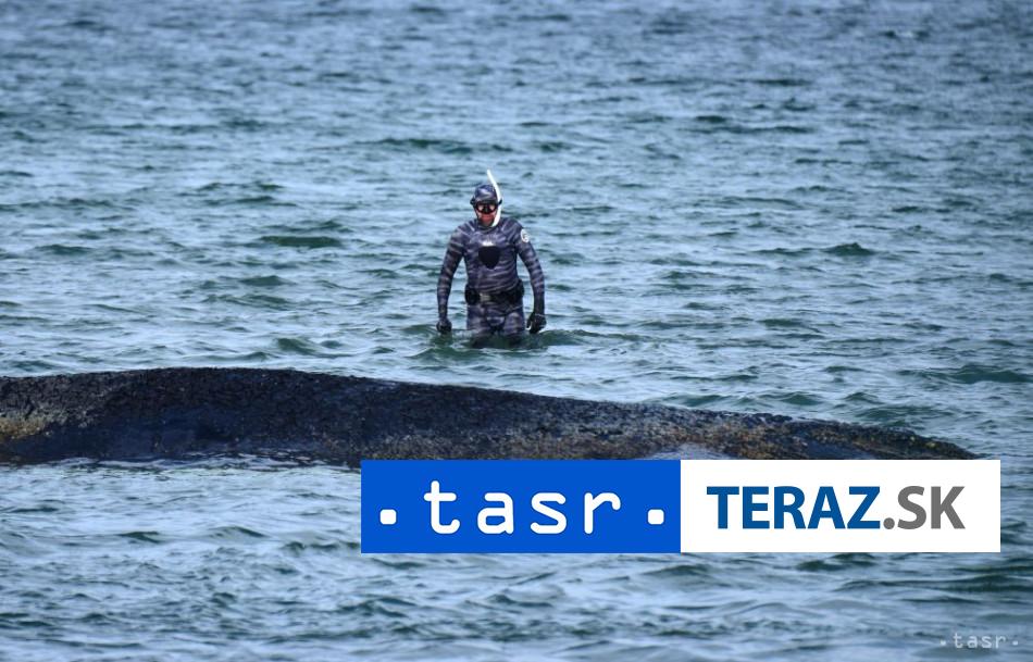 Velryba uviazla pri ostrove Walfisch