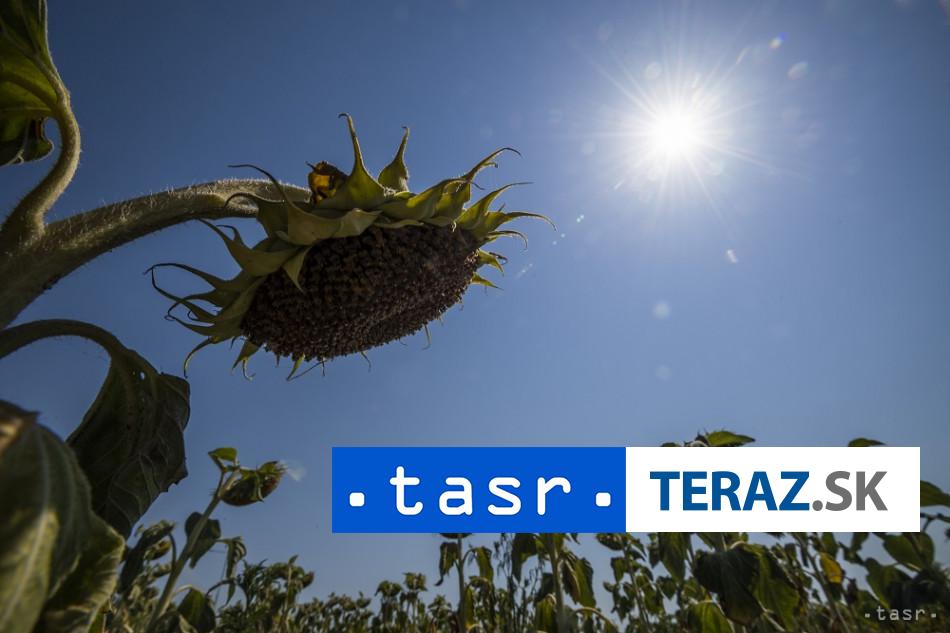 rekordne marcove horucavy v arizone namerali 43 stupnov celzia