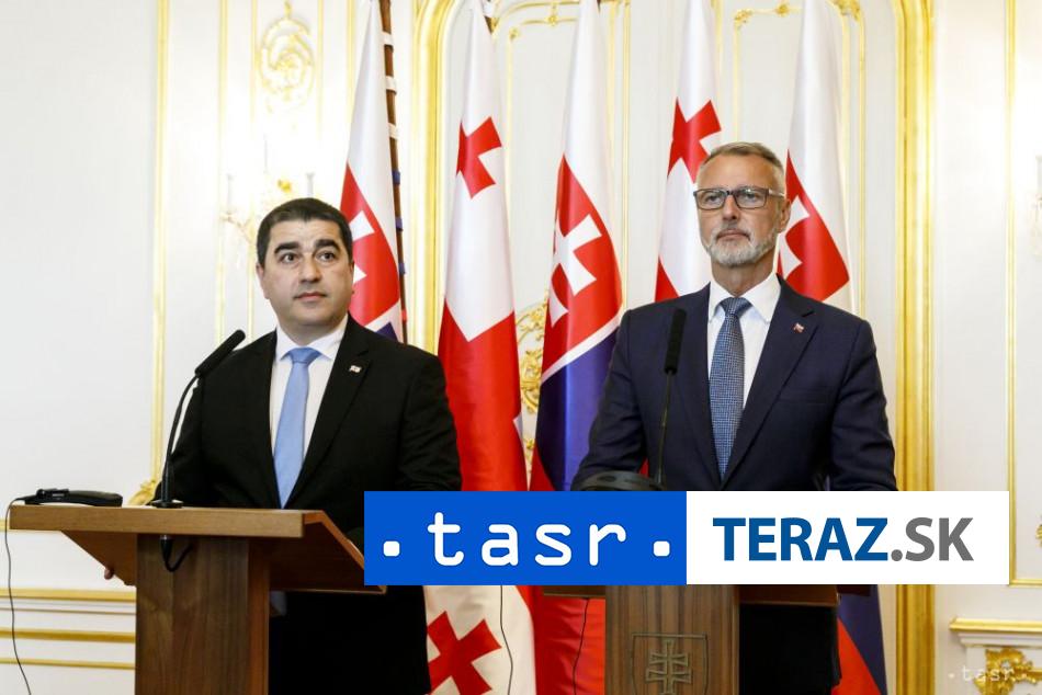 Rasi a Papuasvili sa zhodli na vyzname parlamentneho dialogu