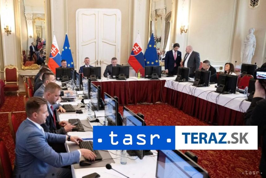 Vlada sa bude zaobera envirozatazami a medzinarodnymi organizaciami