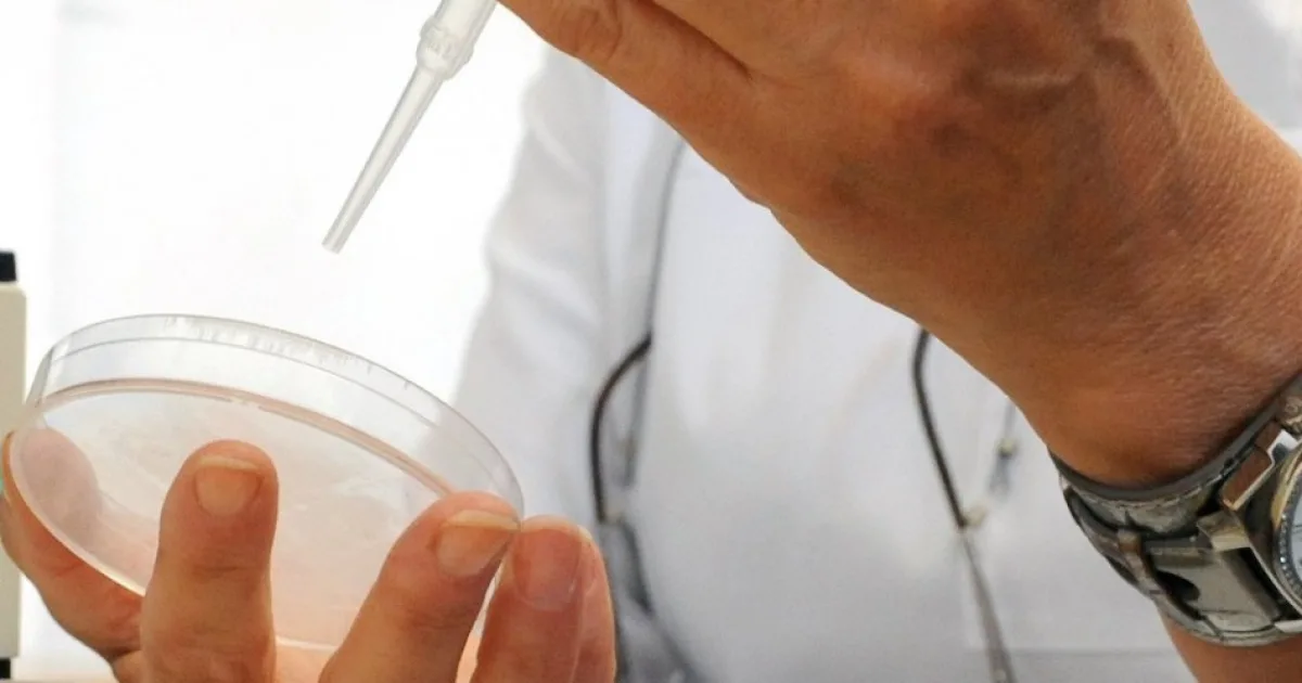 Ebola v KDR: už viac ako 7000 prípadov od vypuknutia epidémie
