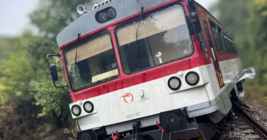 Vlak pri Trenčíne sa po náraze do stromu vykoľajil